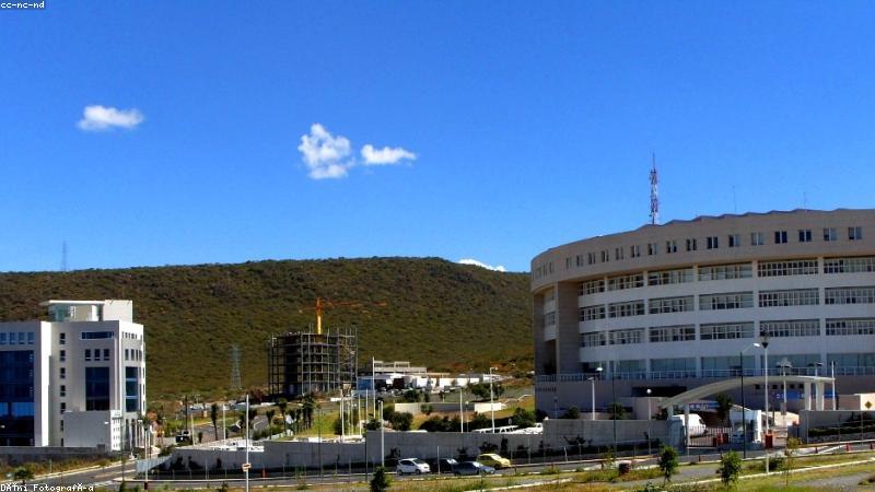 网页版免费91网页秒启免费直达的首页体验界面